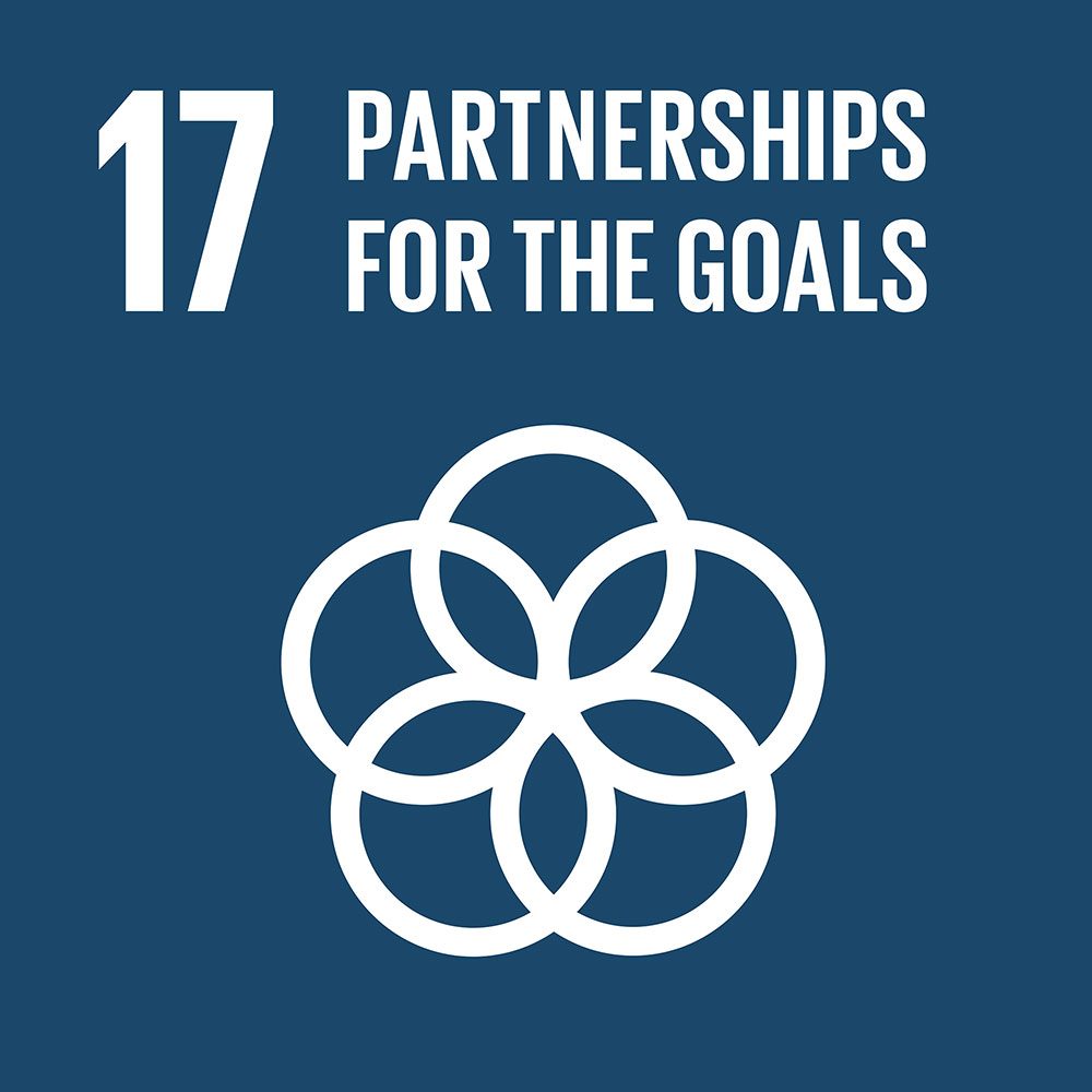 sustainable development goal 17